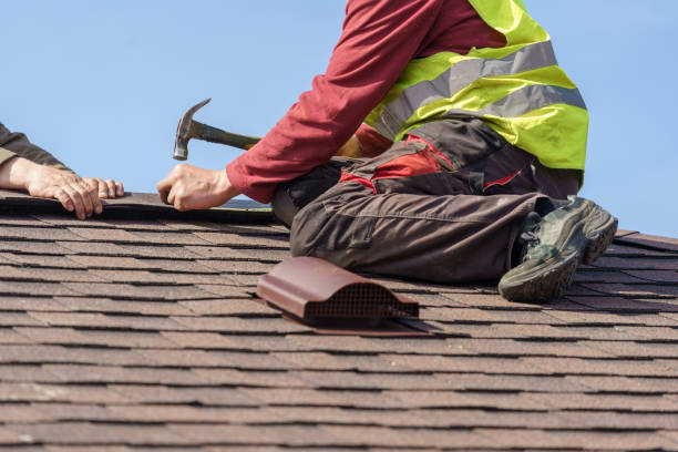 Best Flat Roof Repair Services  in Manana, HI