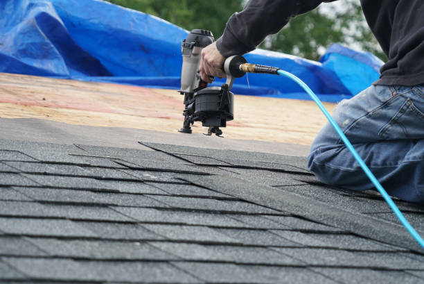 Best Emergency Roof Repair  in Manana, HI