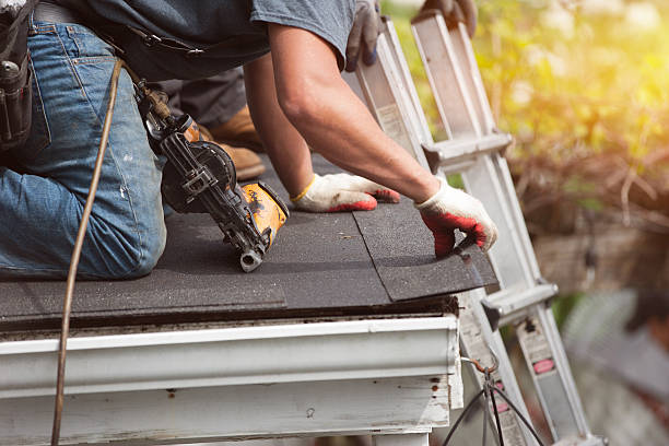 Best Shingle Roofing Installation  in Manana, HI