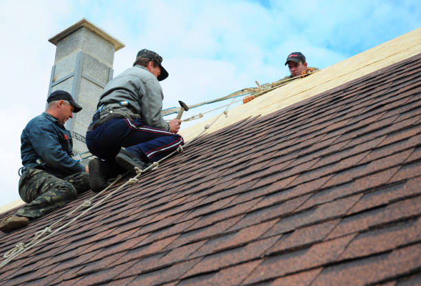 Best Local Roofing Companies  in Manana, HI