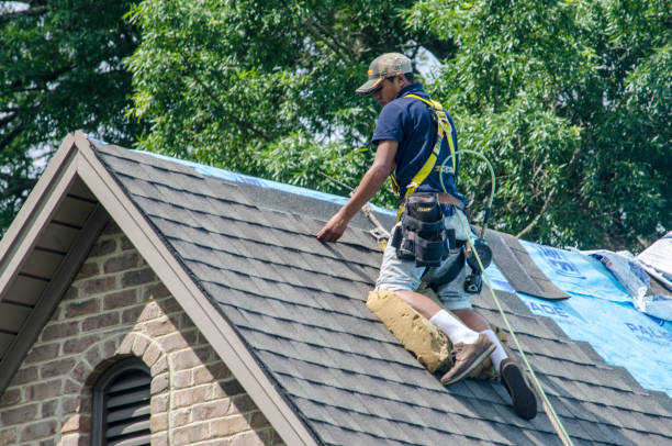 Best Best Roofing Contractors  in Manana, HI